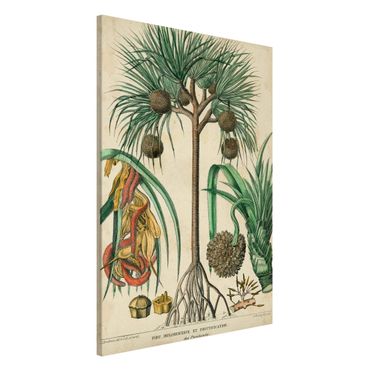 Magnettafel - Vintage Lehrtafel Exotische palmen I - Memoboard Hochformat 3:2