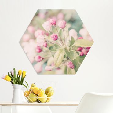 Hexagon Bild Forex - Apfelblüte Bokeh rosa