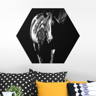 Hexagon Bild Forex - Pferd vor Schwarz
