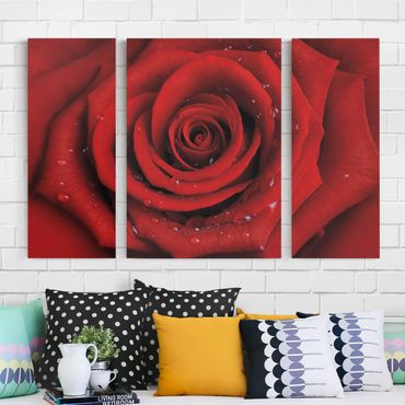 Leinwandbild 3-teilig - Rote Rose mit Wassertropfen - Triptychon
