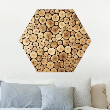 Hexagon Bild Forex - Homey Firewood