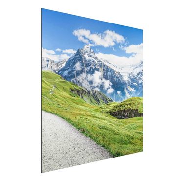 Alu-Dibond - Grindelwald Panorama - Quadrat