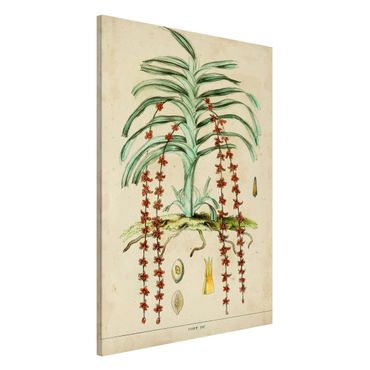 Magnettafel - Vintage Lehrtafel Exotische Palmen IV - Memoboard Hochformat 3:2