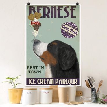 Poster - Berner Sennenhund mit Eis - Hochformat 3:2