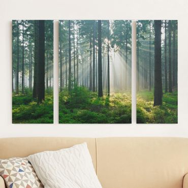 Leinwandbild 3-teilig - Enlightened Forest - Triptychon