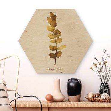 Hexagon Bild Holz - Gold - Eukalyptus