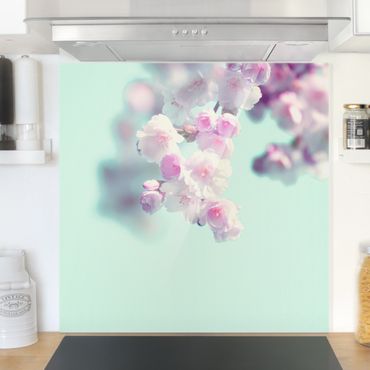 Spritzschutz Glas - Farbenfrohe Kirschblüten - Quadrat 1:1