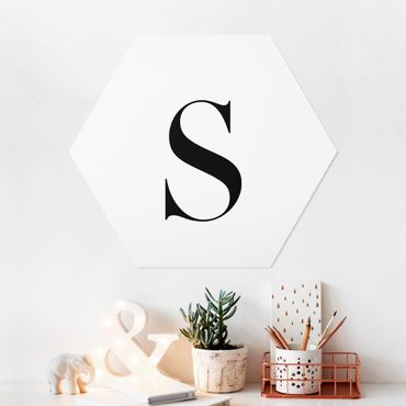 Hexagon Bild Forex - Buchstabe Serif Weiß S