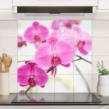 Fliesenbild - Nahaufnahme Orchidee