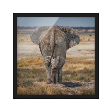 Bild mit Rahmen - Frecher Elefant