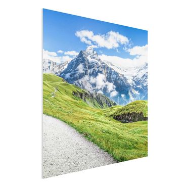 Forex Fine Art Print - Grindelwald Panorama - Quadrat 1:1