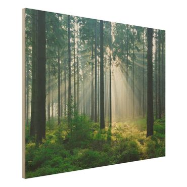 Holz Wandbild - Enlightened Forest - Quer 4:3