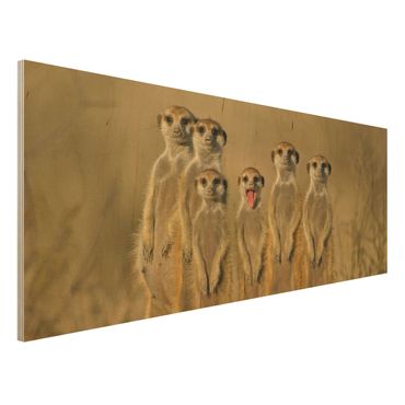 Holzbild - Meerkat Family - Panorama Quer