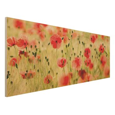 Kunstdruck auf Holz - Summer Poppies - Panorama Quer