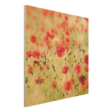 Kunstdruck auf Holz - Summer Poppies - Quadrat 1:1