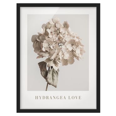 Bild mit Rahmen - Hydrangea Love
