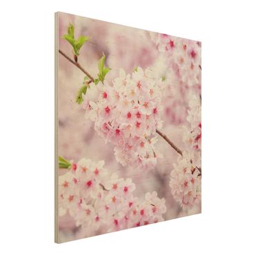 Holzbild - Japanische Kirschblüten - Quadrat