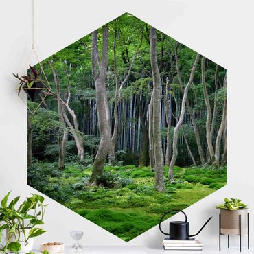 Hexagon Mustertapete selbstklebend - Japanischer Wald
