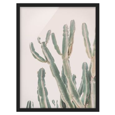 Bild mit Rahmen - Kaktus vor Pastellrosa
