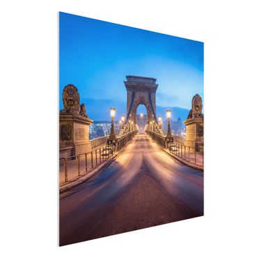 Forex Fine Art Print - Kettenbrücke in Budapest bei Nacht - Quadrat 1:1
