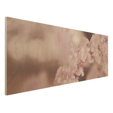 Holzbild - Kirschblüte im Violetten Licht - Panorama