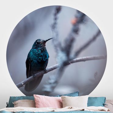 Runde Tapete selbstklebend - Kolibri im Winter