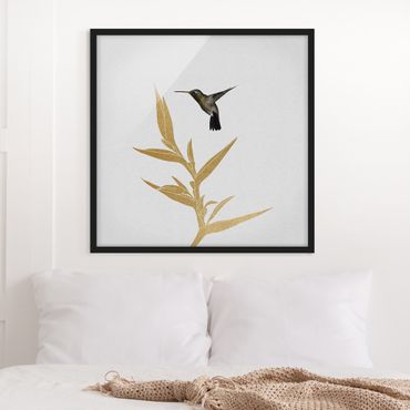 Bild mit Rahmen - Kolibri und tropische goldene Blüte II - Quadrat
