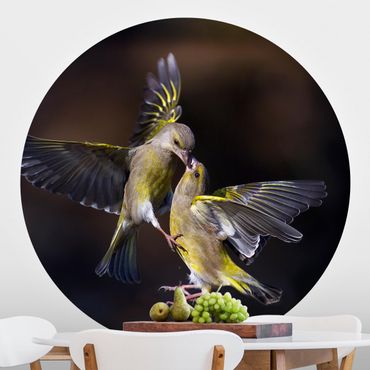 Runde Tapete selbstklebend - Küssende Kolibris