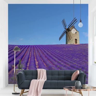 Fototapete - Lavendelduft in der Provence