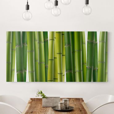Leinwandbild - Bambuspflanzen - Quer 2:1