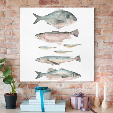 Leinwandbild - Sieben Fische in Aquarell II - Quadrat 1:1