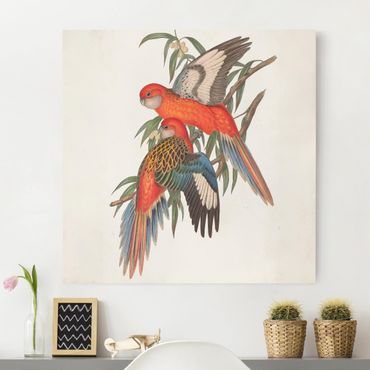 Leinwandbild - Tropische Papageien I - Quadrat 1:1
