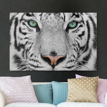 Leinwandbild Schwarz-Weiß - Weißer Tiger - Quer 3:2