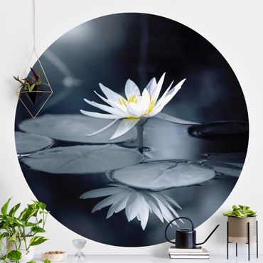 Runde Tapete selbstklebend - Lotus Spiegelung im Wasser