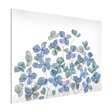 Magnettafel - Blaue Hortensienblüten - Memoboard Querformat 3:4