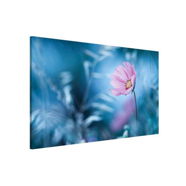 Magnettafel - Blüte in Pastell - Memoboard Quer