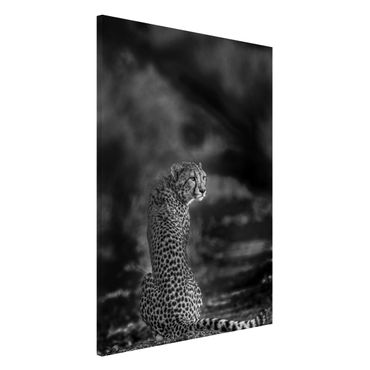 Magnettafel - Gepard in der Wildness - Memoboard Hochformat 3:2