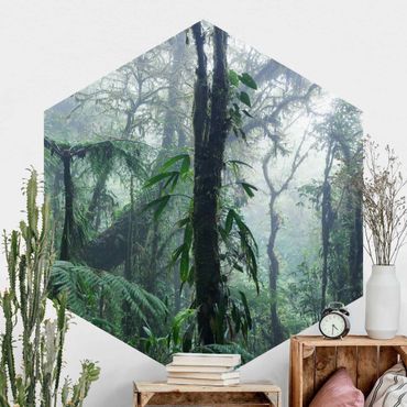 Hexagon Fototapete selbstklebend - Monteverde Nebelwald