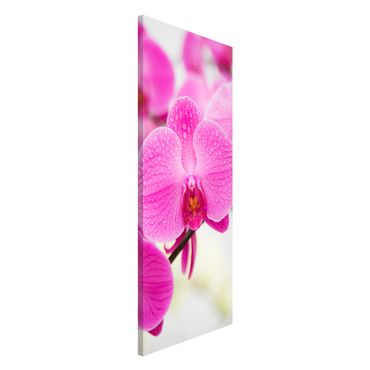 Magnettafel - Nahaufnahme Orchidee - Blumenbild Memoboard Panorama Hoch