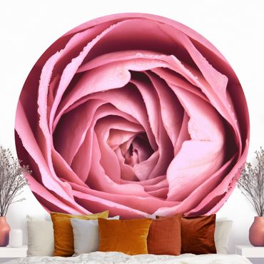 Runde Tapete selbstklebend - Rosa Rosenblüte