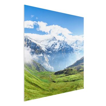 Forex Fine Art Print - Schweizer Alpenpanorama - Quadrat 1:1