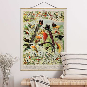 Stoffbild mit Posterleisten - Vintage Lehrtafel Paradiesvögel - Hochformat 3:4