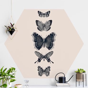 Hexagon Mustertapete selbstklebend - Tusche Schmetterlinge auf Beige