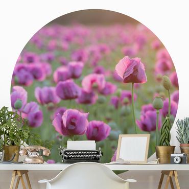 Runde Tapete selbstklebend - Violette Schlafmohn Blumenwiese im Frühling
