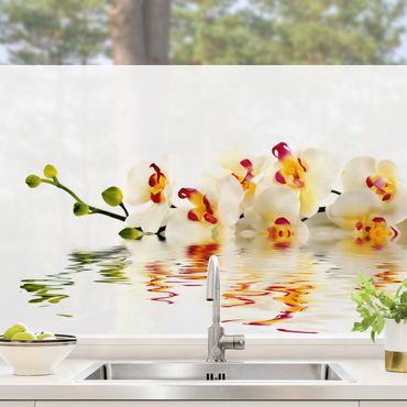 Fensterfolie - Sichtschutz - Vivid Orchid Waters - Fensterbilder