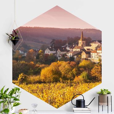 Hexagon Fototapete selbstklebend - Weinberge in Frankreich