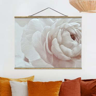 Stoffbild mit Posterleisten - Weiße Blüte im Blütenmeer - Querformat 4:3
