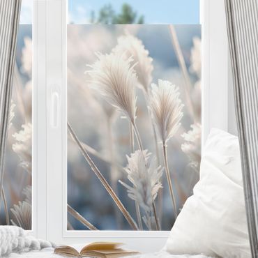 Fensterfolie - Sichtschutz - Winterliches Gräser Close-Up - Fensterbilder