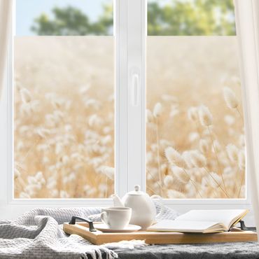 Fensterfolie - Sichtschutz - Zarte Gräser - Fensterbilder