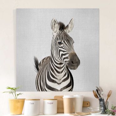 Leinwandbild - Zebra Zilla - Quadrat 1:1